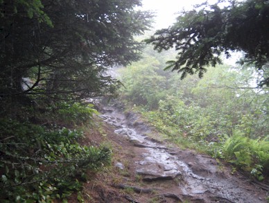 black mountain crest trail