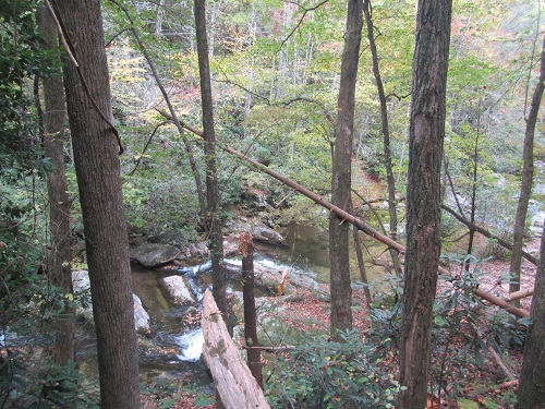View of Steel's Creek from MST